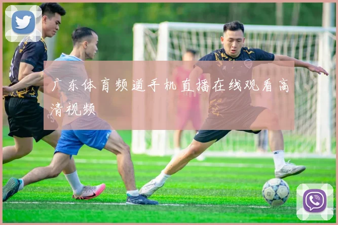 广东体育频道手机直播在线观看高清视频