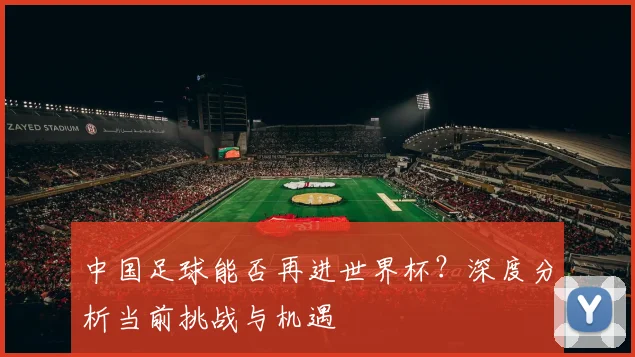中国足球能否再进世界杯？深度分析当前挑战与机遇