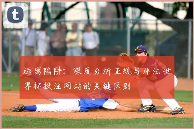 远离陷阱：深度分析正规与非法世界杯投注网站的关键区别