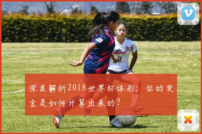 深度解析2018世界杯体彩:你的奖金是如何计算出来的?