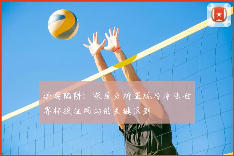 远离陷阱：深度分析正规与非法世界杯投注网站的关键区别