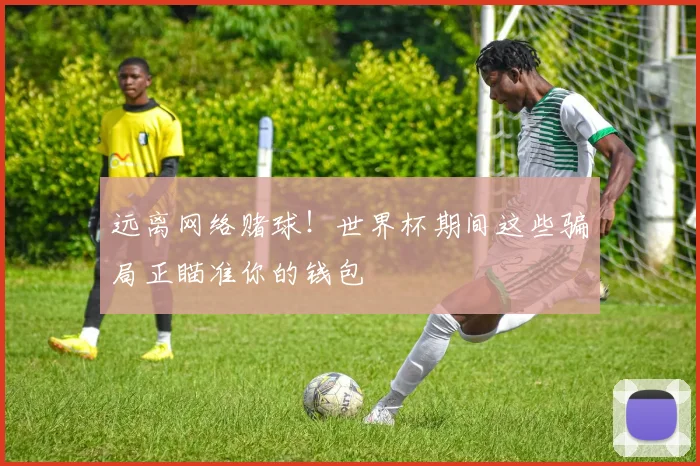 远离网络赌球！世界杯期间这些骗局正瞄准你的钱包