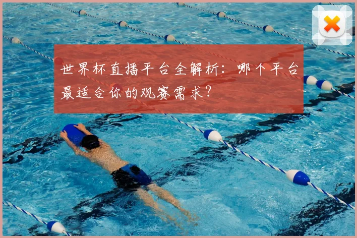 世界杯直播平台全解析:哪个平台最适合你的观赛需求?