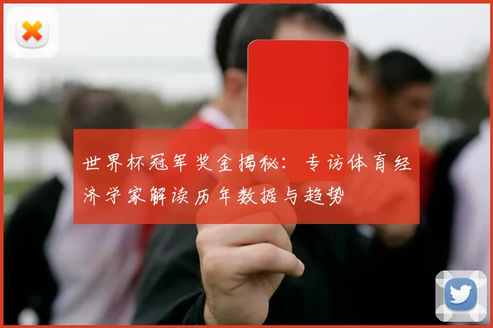 世界杯冠军奖金揭秘:专访体育经济学家解读历年数据与趋势