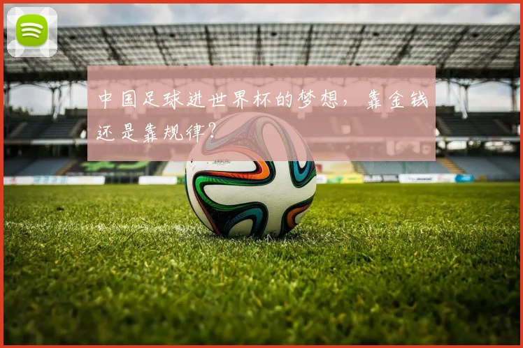 中国足球进世界杯的梦想,靠金钱还是靠规律?