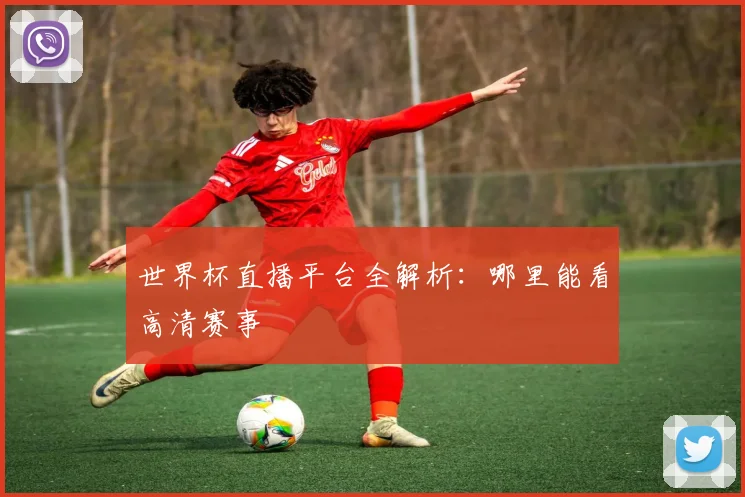 世界杯直播平台全解析:哪里能看高清赛事