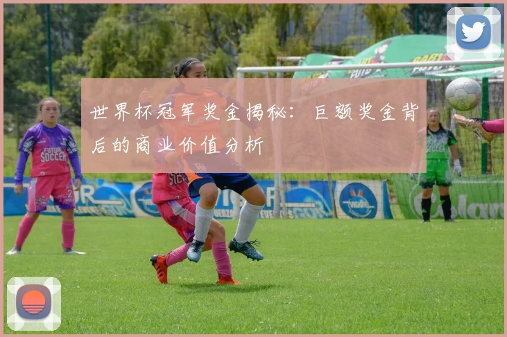 世界杯冠军奖金揭秘：巨额奖金背后的商业价值分析
